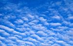 altocumulus