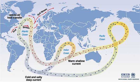 circulation thermohaline