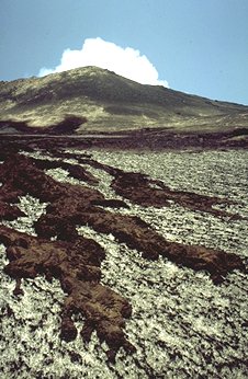 coule  de boue au pied des cratres sommitaux de l'Etna. Photo Dominique Decobecq.