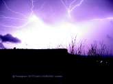 agrandir la photo