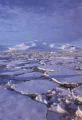 Les glaces des ples fondent