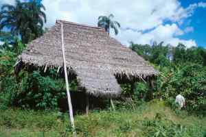 Une hutte inhabite