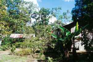 La maison de Darwin