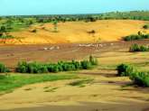 agrandir la photo
