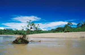 Sur le Rio Napo